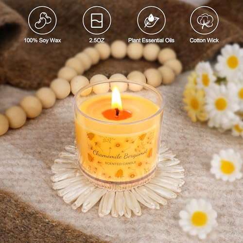 Fall Candles Bulk, 12 Pack Scented Candles for Home, Candle Set for Women, Small Soy Candles Scent of Pumpkin Vanilla Cara...
