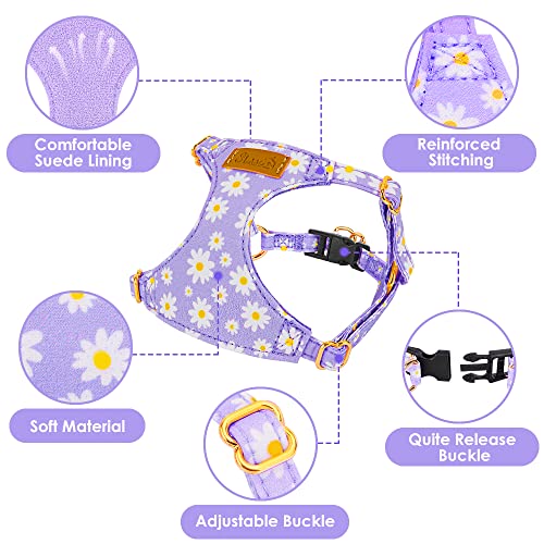 SlowTon Dog Harness Small Sized Dog - Soft XXS Dog Harness and Leash Set No Pull No Chock, Adjustable Lightweight Puppy Ha...