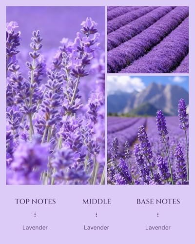 Aromadd Aromadd Lavender Diffuser Oil Inspired by Luxury Hotel Scent, Essential Oils for Waterless Diffuser, Pure Soothing...