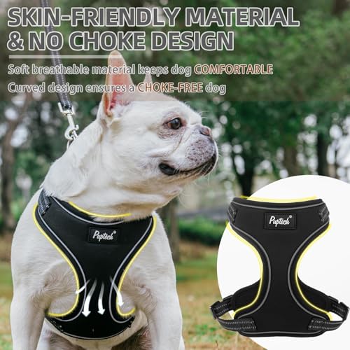 PUPTECK Dog Harness and Leash Set Small Sized, Adjustable Reflective Escape Proof Puppy Vest, No Pull Walking Harness Easy...
