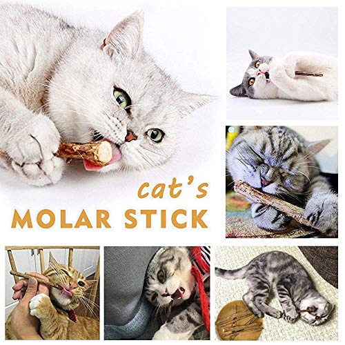 AILUKI 35 PCS Cat Toys Kitten Toys Assortments,Variety Catnip Toy Set Including 2 Way Tunnel,Cat Feather Teaser,Catnip Fis...
