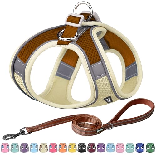 AIITLE No Pull Dog Harness and Leash Set, Step in Adjustable Dog Harness with Padded Vest for All Weather, Dog Leash with ...