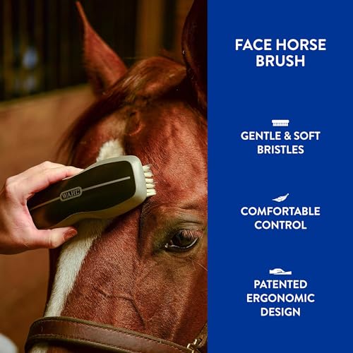 WAHL Professional Animal Equine Grooming Face Horse Brush - Black