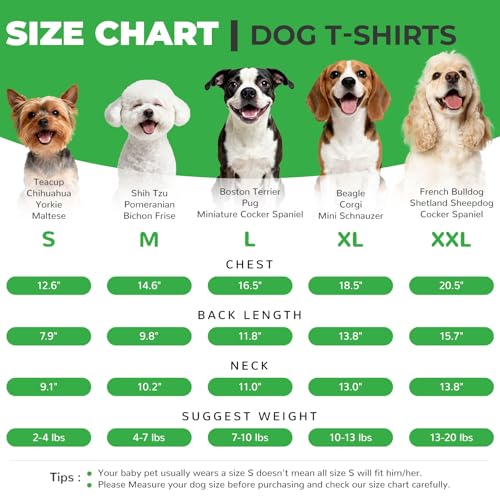 ABRRLO 3-Pack Reflective Dog Shirts for Small Medium Dogs Sun Protection Lightweight Puppy Cat T-Shirt with D-Ring,Soft St...