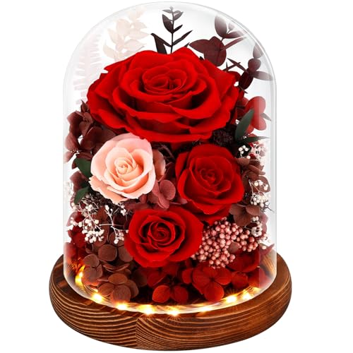 Alupssuc Forever Preserved Real Flowers for Delivery Prime, Eternal Fresh Roses in Glass Dome with LED Lights, Mothers Day...