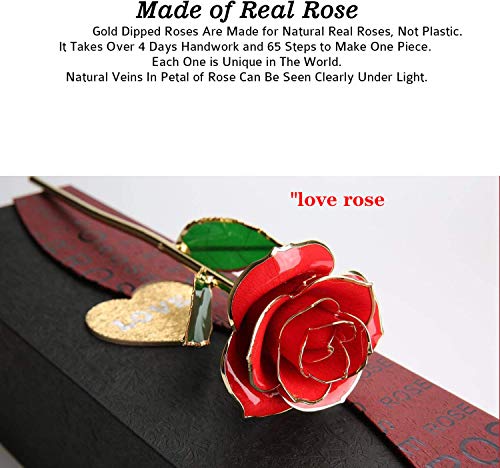 MNIEYU Gold Rose 24K Plated Gold Dipped Rose, Forever Preserved Red Rose Flowers with Stand,Romantic Gift for Valentine's ...