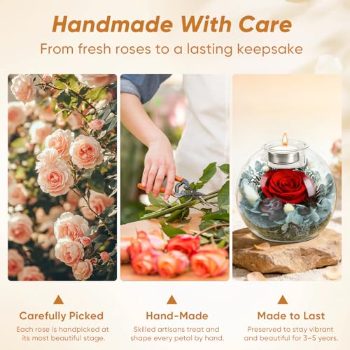 cdco Preserved Real Rose in Glass with Scented Candles for Mom Her Wife Girlfriend Grandma Birthday Anniversary Romantic