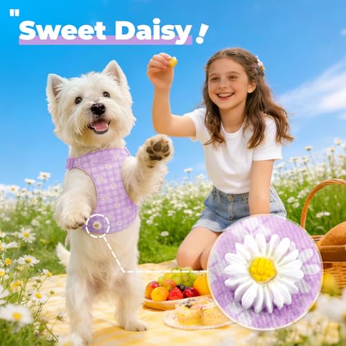 PETCARE Cute Small Dog Harness and Leash Set Purple Floral Daisy Puppy Harness Vest Adjustable Step in Spring Summer Soft ...