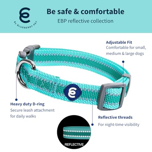 Blueberry Pet Essentials Matching Large Dog Collar | Adjustable Classic Solid Color Nylon Dog Collars for Large Dogs | Ref...