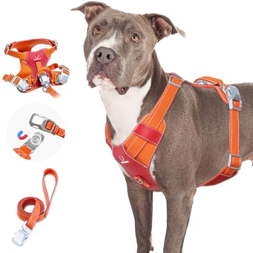 Tokcam Magnetic Dog Harness and Leash Set with Quick Release Buckle, Easy On & Off Faux Leather Puppy Harness with Leash, ...