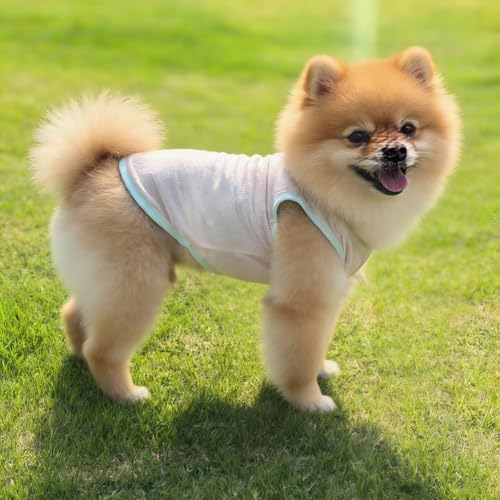 2Pcs Cooling Shirts for Small Dogs, Sleeveless Dog Vest, Lightweight Breathable Dog Summer Tank Top Sun Protection Shirts ...
