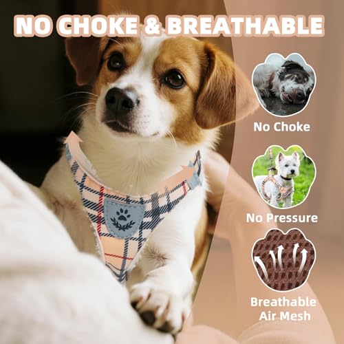 PAWCHIE Dog Harness and Leash Set, Step in No Pull Soft Pet Harness, Reflective Adjustable Puppy Vest for Small Medium Dog...