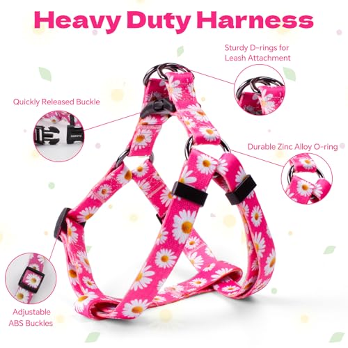 QQPETS Dog Harness Leash Set Adjustable Heavy Duty No Pull Halter Harnesses for Small Medium Large Breed Dogs Back Clip An...