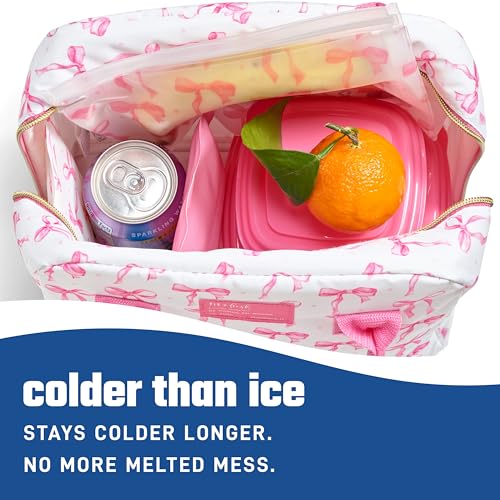 Fit & Fresh Cool Coolers 2 Pack Soft Ice for Lunch Bags, Flexible Stretch Nylon, Durable, Reusable Lunch Box Ice Packs, So...