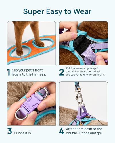 PetThem Upgraded Cat Harness and Leash Set - Step-in Escape Proof Adjustable Cat Harness, Comfortable Soft Lightweight, Re...