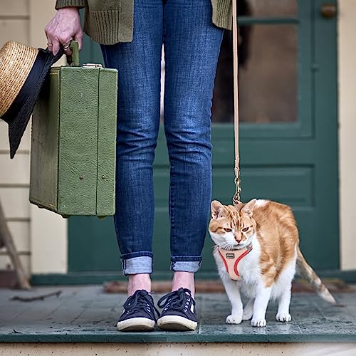 Betmaypet Cat Harness and Leash Set, Soft and Breathable Vest with Reflective Strip, Escape Proof Kitten Harness, Easy to ...