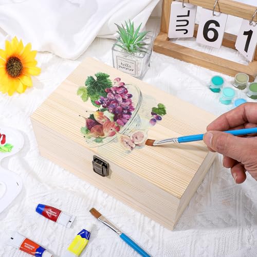 WSICSE Unpainted Wood Box with Hinged Lid - Large 9.2"x5.5"x3.9" for Crafts DIY Storage Jewelry & Gift Box and Hobby Organ...
