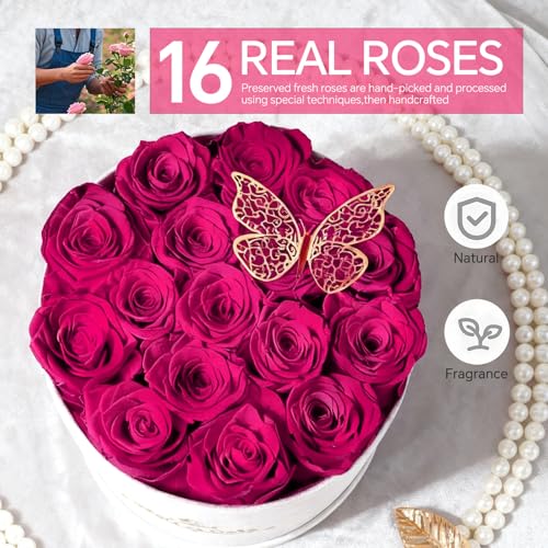 Cyrabota 16 Preserved Roses in a Box, Preserved Flowers Gifts for Women, Forever Flowers for Delivery, Flower Birthday Gif...