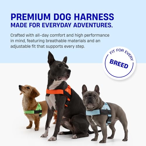Dog Friendly Co. Dog Harness | Chafe Resistant Webbing, Adjustable Neck & Chest, and Heavy Duty D-Ring | Sturdy, Comfortab...