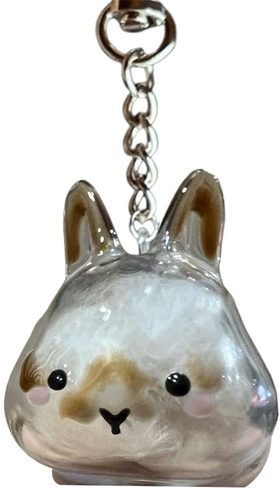 Bunny Fur Keepsake Keychain, Transparent Rabbit Hair Storage Bottle, Pet Hair Container Keychain, Bunny Lover Collecting Gift