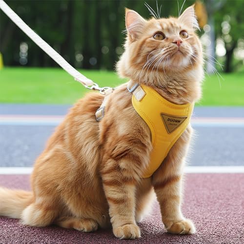Escape-Proof Cat Harness and Leash Set - Adjustable and Comfortable - Ideal for Walking Cat Outdoors - Fits Small Dogs, Ki...