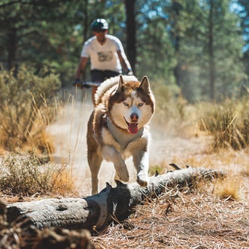 Ruffwear, Swamp Cooler Zip Dog Vest, Evaporative Cooling for Hot Weather, Graphite Gray, X-Large