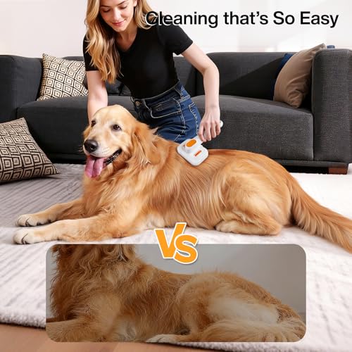 Dog Brush for Shedding & Cat Brush for Indoor Cats: 3-in-1 Cool Mist Spray Groomer – Self-Cleaning & Waterproof – Effortle...