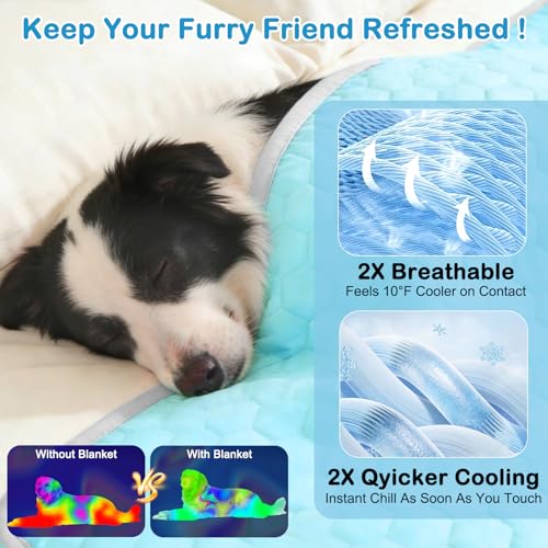 Vivifying Cooling Blanket for Dogs, Reversible Ice Silk Dog Cooling Mat with Soft Plush Backing, Summer Pet Blanket Throw ...