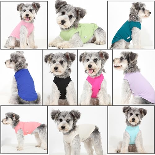 2 Pack Dog Clothes for Small Dogs Summer Dog Shirt Vest Girl Boy Lightweight Puppy T-Shirts Blank Soft and Cool Pet Clothi...