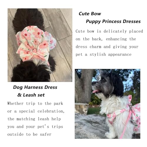 Qiansail Cute Dog Dress, Dogs Summer Dresses Female Bowknot Harness Leash Set Puppy Clothes Cat Princess Accessories for H...