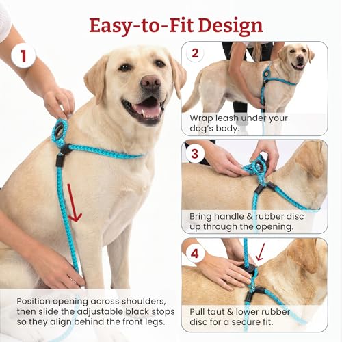 Harness Lead No Pull Dog Harness and Leash Set, Anti Pull Dog Harness for All Breeds and Sizes, One-Piece Cushioned Rope D...