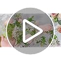 Riceshoot 4 Pcs 6ft Flower Garland with Peony & Rose - Artificial Silk Floral Vine Hanging Fake Roses Vine for Wedding Par...