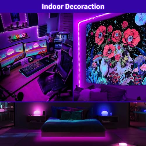 Dimmable Black Light Strip Kit 40ft/12M 720 LEDs, 12V Flexible Blacklight Fixtures, 385nm-400nm, Black Light LED Strips fo...