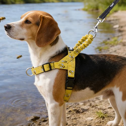 PUPTECK No Pull Dog Harness Small Sized Dog, Adjustable Reflective Pet Vest Harness with Bungee Handle, Escape Proof No Ch...
