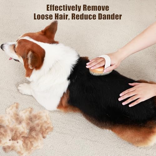 Soft Boar Bristle Pet Palm Brush for Short Haired Dogs and Cats with Band, Reduce Shedding, Ergonomic Dog Brush, Easy to H...