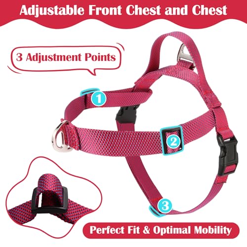 Annchwool No Pull Dog Harness with Front Clip and Easy Control Handle-Belly & Chest Adjustable Dog Harness and Leash Set f...