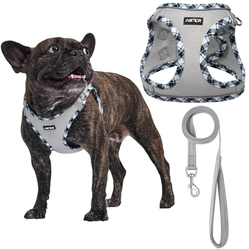 AMTOR Small Dog Harness with Leash Set, No Escape Easy Walk Puppy Harnesses for Training Walking, Step-in Reflective Soft ...