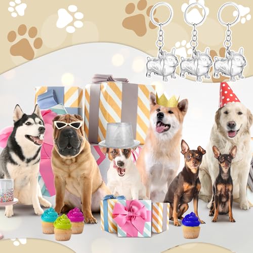 Nosiny 3 Pcs Dog Hair Collector Keychain Charm Memorial Storage Box Plastic Pet Fur Holder Keyring Cute Dog Hair Keepsake ...