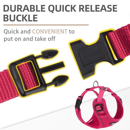 PUPTECK Small Dog Harness and Leash Set, No Pull Adjustable Puppy Cat Harness, Reflective Soft Mesh Pet Vest Small Sized, ...
