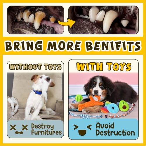 Zeaxuie 9 Pack Luxury Puppy Toys for Teething Small Dogs, Puppy Chew Toys with Cute Squeaky Dog Toys, Ball and More Rope D...