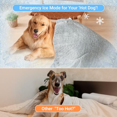 Cooling Blanket for Dogs, Dog Blankets for Large Dogs, Q-MAX > 0.5 Cold Washable Dog Blanket, Soft Durable Self Cooling Ca...