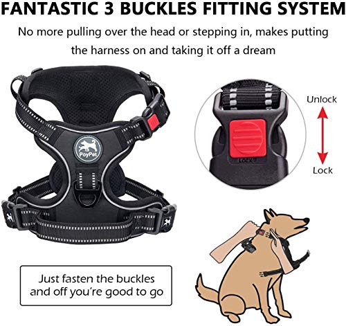 PoyPet Dog Harness and Leash Combo, Escape Proof No Pull Vest Harness, with 5 Feet Leash, Reflective Adjustable Soft Padde...