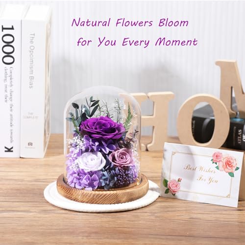 lovenfold Flowers for Delivery Preserved Rose Gifts for Women,Long-Lasting Forever Flowers in Glass Dome, Birthday Gifts f...