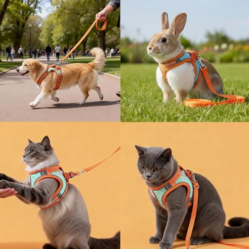 Escape-Proof Cat Harness and Leash Set, Soft Breathable Mesh Vest Style Cat Harness, Adjustable Step-in Cat Harness for Wa...