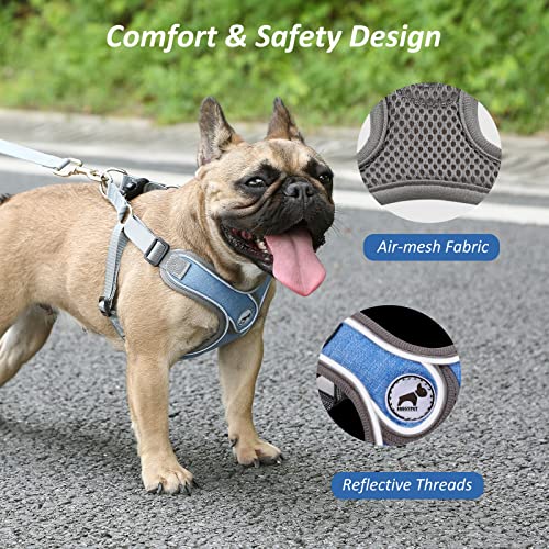 Dog Harness with Leash Set, No Pull Adjustable Step in Collars Harness with Breathable Padded Vest for Small Medium Large ...