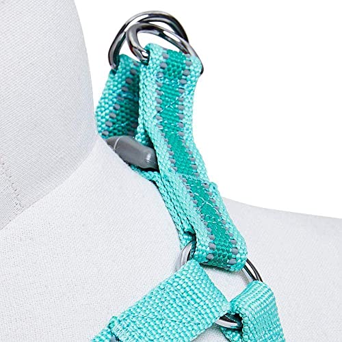 Blueberry Pet Essentials Step-in Reflective Back to Basics Dog Harness, Minty Green, Chest Girth 20" - 26", Medium, Adjust...