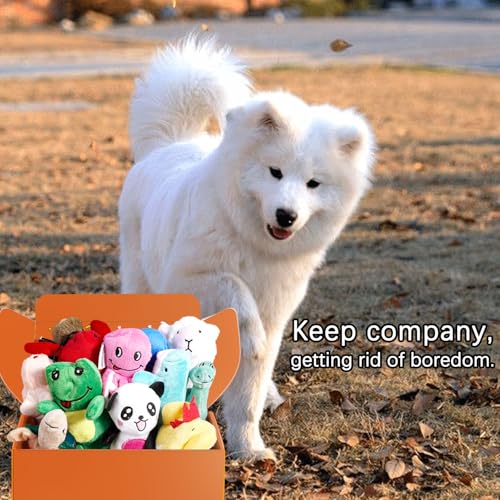 LEGEND SANDY Squeaky Plush Dog Toy Pack for Puppy, Small Stuffed Puppy Chew Toys 12 Dog Toys Bulk with Squeakers, Cute Sof...