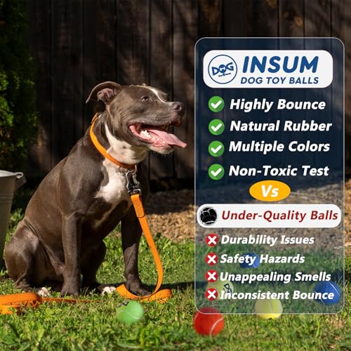 INSUM Tennis Balls for Dogs - 12 Pack 2.5'' Durable Non-Toxic Outdoor Dog Toys Balls with Mesh Bag, SGS Certified, Colorfu...