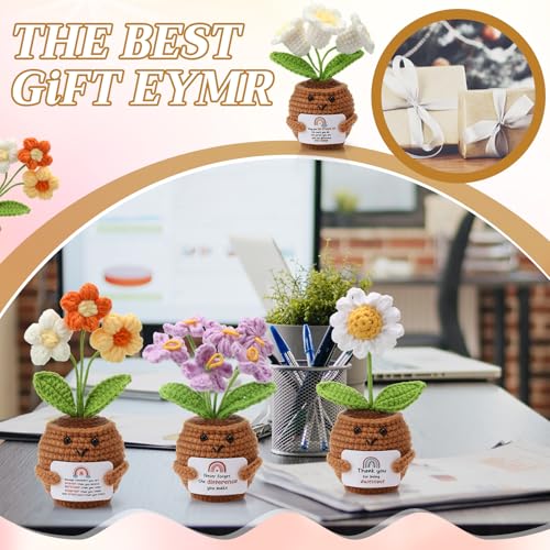 Geelin 6 Sets Positive Teacher Appreciation Gift Mini Crochet Flower Potted Doll with Card Emotional Rose Daisy Support Th...