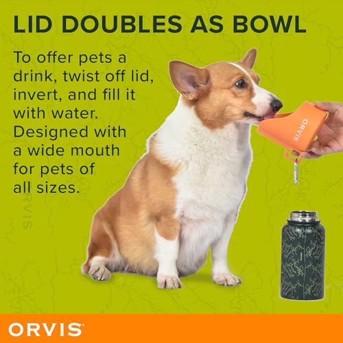 Orvis Dog Travel Water Bottle, 25oz Capacity | Portable Pet Waterer with Built-in Bowl | Stainless Steel, High Visibility ...